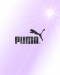 Puma 9